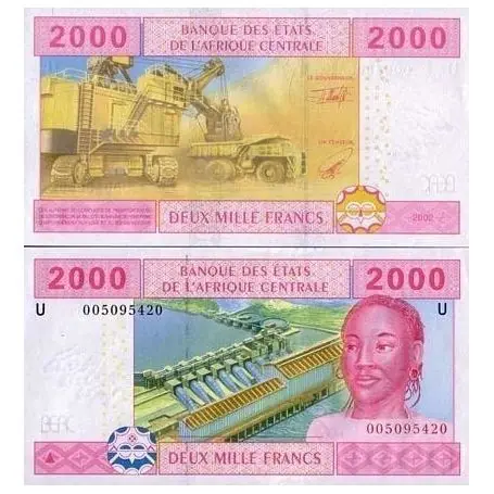 Billets collection Afrique Centrale Cameroun Pk N° 208 - 2000 Francs Fait Main