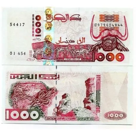 Billet de banque Algerie Pk N° 142 - 1000 Dinars Meilleure Vente