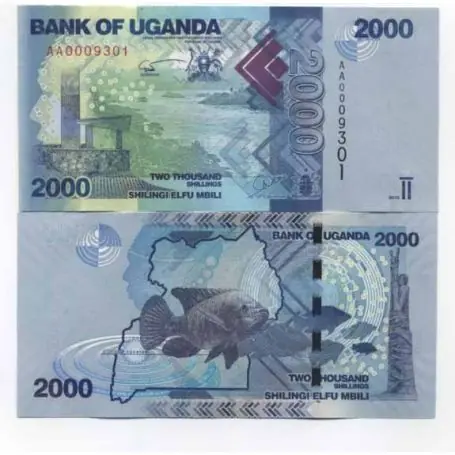 Bon Marché Billets banque Ouganda Pk N° 50 - 2000 Shilling