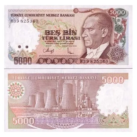 Gros Lot Billets de banque Turquie Pk N° 198 - 5000 Lira