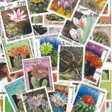 Collection de timbres Cactus oblitérés Authentique