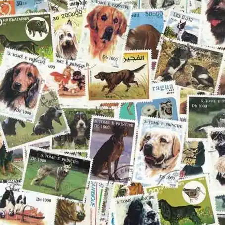 Collection de timbres Chiens oblitérés Nouvelle Collection