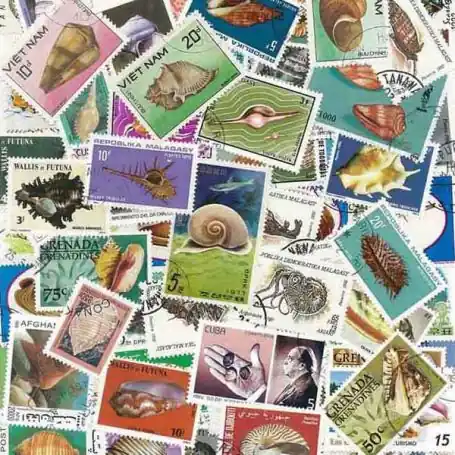 Collection de timbres Coquillages oblitérés Offre Du Jour