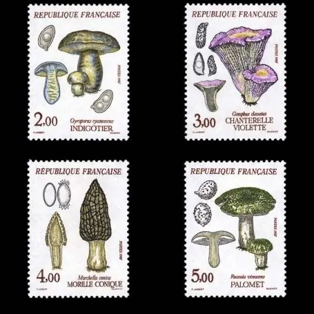 Certifié Timbres France Série N° 2488/91 neuf sans charnière