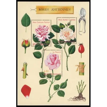 Expédié Aujourd’hui Timbre France Bloc N° 24 neuf sans charnière