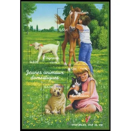 Timbre France Bloc N° 96 neuf sans charnière Édition Limitée