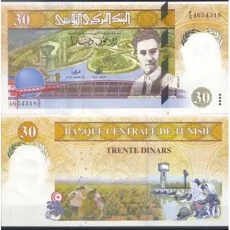 Nouvel Arrivage Billet de collection Tunisie Pk N° 89 - 30 Dinar