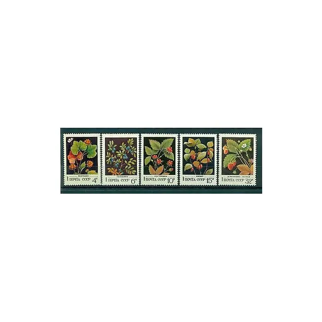 URSS 1982 - Y & T n. 4887/91 - Baies sauvages (Michel n. 5155/59) Commander Maintenant