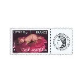 Timbre de collection France - 3804A Personnalis Ceres Livraison Express