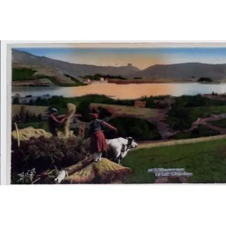 Meilleure Qualité Carte postale 63 - L'Auvergne- Le lac Chambon - Non voyage - Dos divise