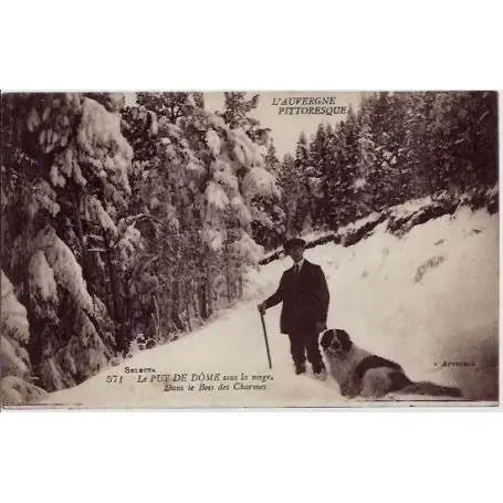 Carte postale 63 - Le Puy de Dome - Sous la neige - Dans le bois des charmes - un homme et s Prix Bas