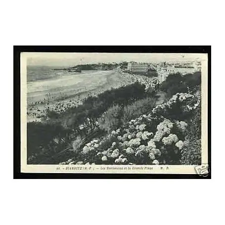Commander Vite Carte postale 64 - Biarritz - Les Hortensias et la grande plage