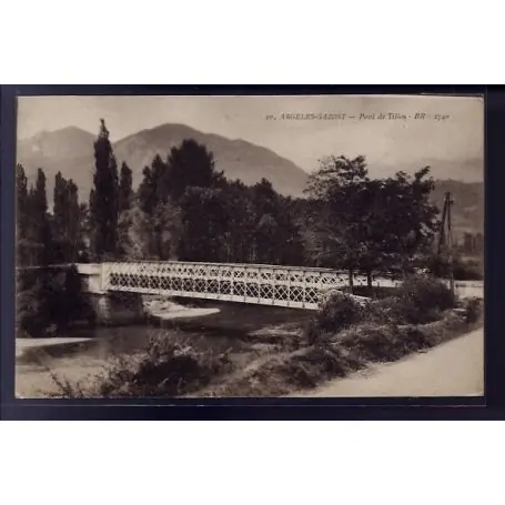 Haute Qualité Carte postale 65 - Argeles-Gazost - pont de Tillos - Non voyage - Dos divise