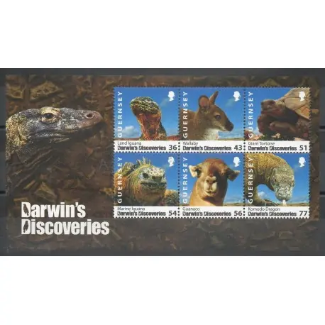 Guernesey - 2009 - No BF 65 - Animaux Prix Choc