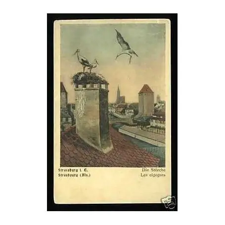 Garantie Incluse Carte postale 67 - Strasbourg - Les cigognes au nid
