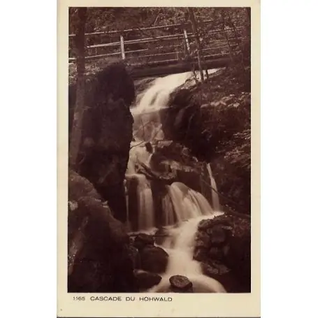 Top Qualité Carte postale 68 - Cascade du Hohwald - Voyage - Dos divise