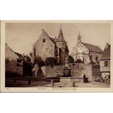 Livraison Express Carte postale 68 - Eguisheim - Chateau natal de saint Leon - Non voyage - Dos divise