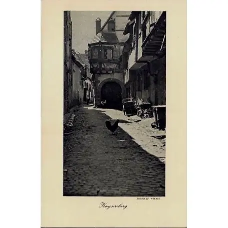 Carte postale 68 - Kaysersberg - Coq dans une allee - maisons - Non voyage - Dos divise Certifié