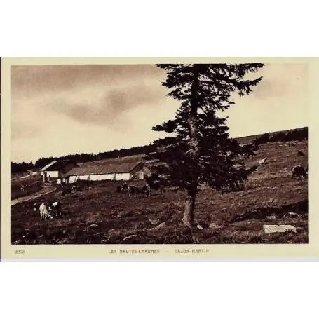 Réduction Carte postale 68 - Les Hautes Chaumes - Gazon Martin