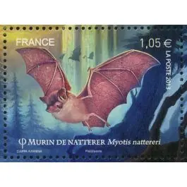 Timbre de collection France - 4742 Meilleure Qualité