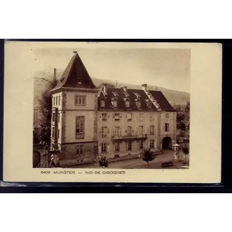 Prix Réduit Carte postale 68 - Munster - Nid de cigognes - Voyage - Dos divise