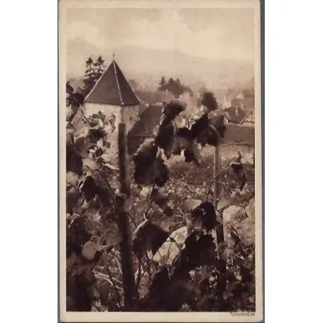 Réduction Carte postale 68 - Turckheim - vignes -Non voyage - Dos divise
