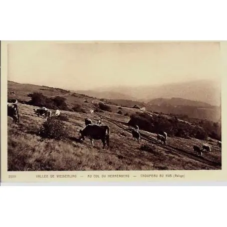 Bon Plan Carte postale 68 - Vallee de Wesserling - Troupeau au Hus