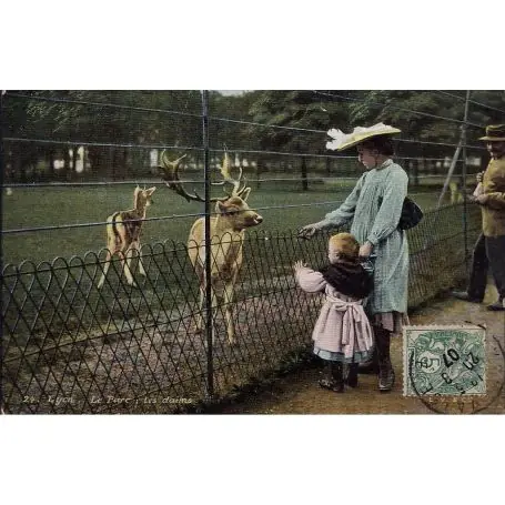 Prix Promo Carte postale 69 - Lyon - Le parc - Les daims