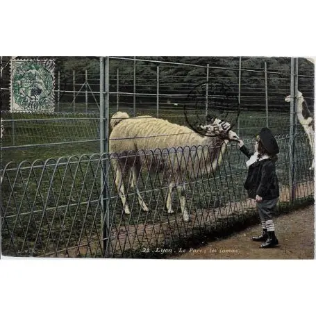 Paiement Sécurisé Carte postale 69 - Lyon - Le parc - Les lamas - Enfant