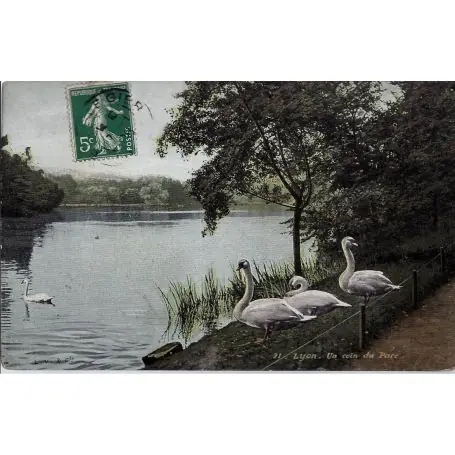 Prix Promo Carte postale 69 - Lyon - Un coin du parc - Cygnes
