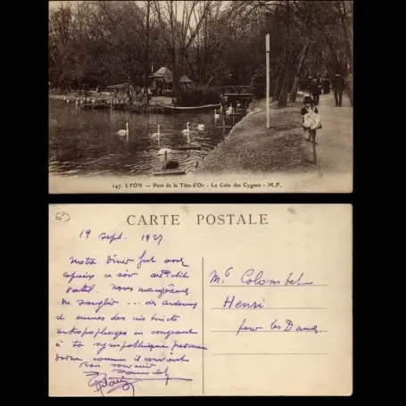 Carte postale 69 - Parc de la Tete d'Or - Le coin des cygnes Vente Flash