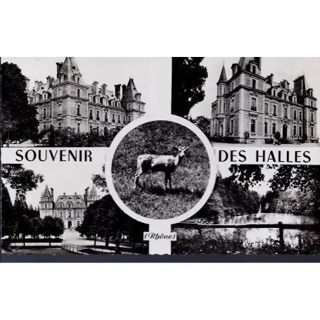 Offre Spéciale Carte postale 69 - Souvenir des Halles - Multivue - CPSM
