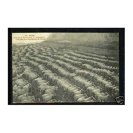 Carte postale 71 - Autun - Foire de la St-Ladre le 1er septembre Commander Maintenant