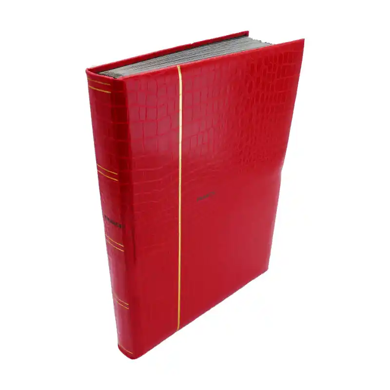 Lot de lettres, commémoratifs de Belgique et colonies. Populaire