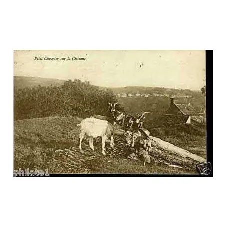 Carte postale 71 - Petit Chevrier sur la Chaume Prix Cassé