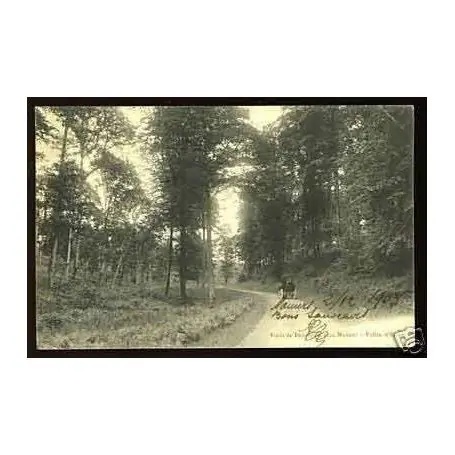 Soldes Carte postale 72 - Foret de Perseigue pres Mamers - Vallee d'enfer