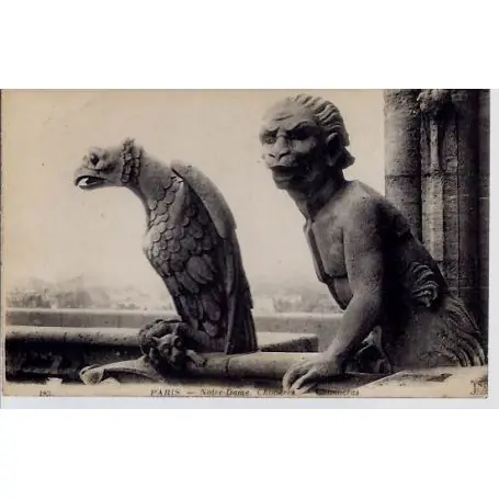 Carte postale 75 - Notre-Dame - Chimeres I Expédié Aujourd’hui