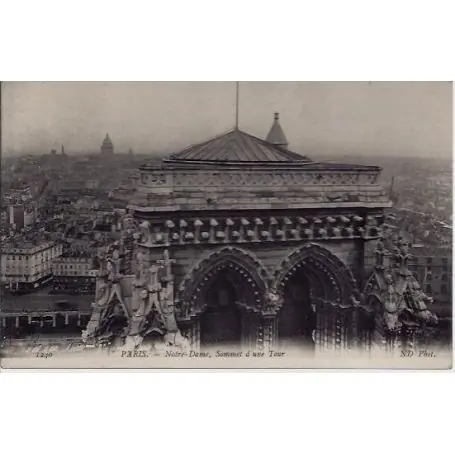 Populaire Carte postale 75 - Notre-Dame - Sommet d'une Tour