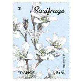 Timbre de collection France - 5653 Promotion Saisonnière