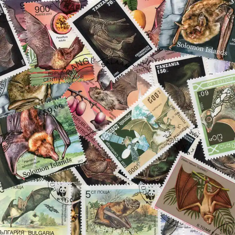 Chauves-souris 25 timbres thématiques tous différents. Offre Du Jour