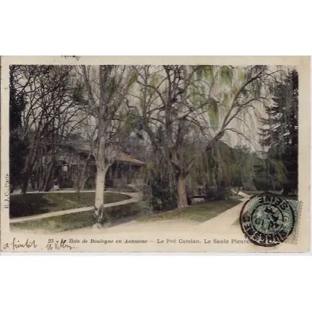 Achetez Aujourd’hui Carte postale Paris - Le Pre Catelan - Saule Pleurreur 1903