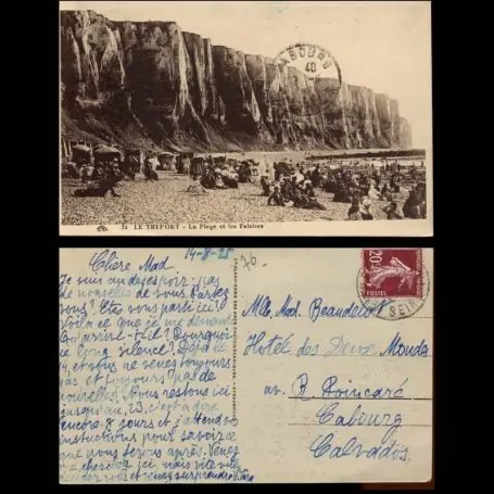 Carte postale 76 - Le Treport - La plage et les falaises - II Offre Spéciale
