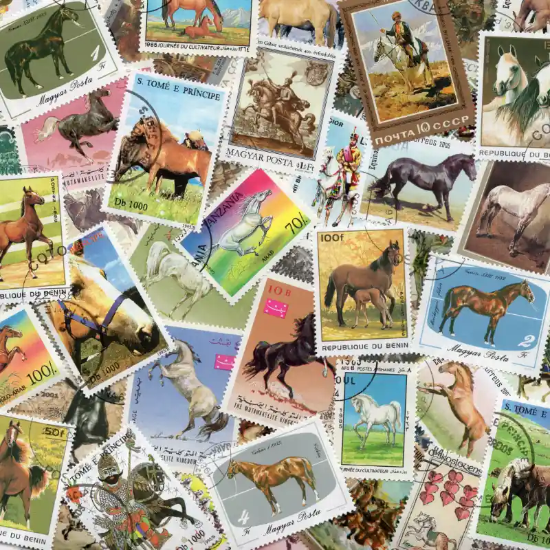 Chevaux timbres thématiques tous différents. Satisfait Ou Remboursé