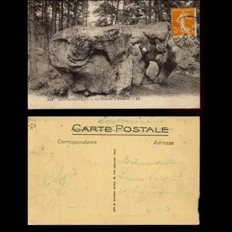 Carte postale 77 - Fontainebleau - La Foret - L'Elephant Commander Vite