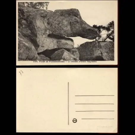 Carte postale 77 - Fontainebleau - Le Crocodile Achetez Aujourd’hui