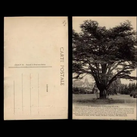 Carte postale 77 - Montigny Lencoup - Cedre du Liban Paiement Sécurisé