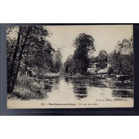 Carte postale 77 - Montigny-sur-Loing - Un coin de riviere - Voyage - Dos divise Offre Exclusive