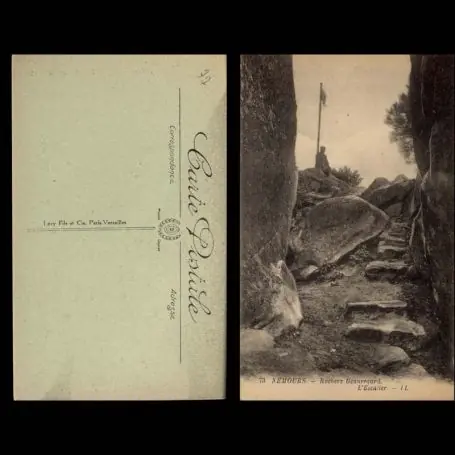 Meilleur Prix Carte postale 77 - Nemours - Rocher Beauregard - L'escalier