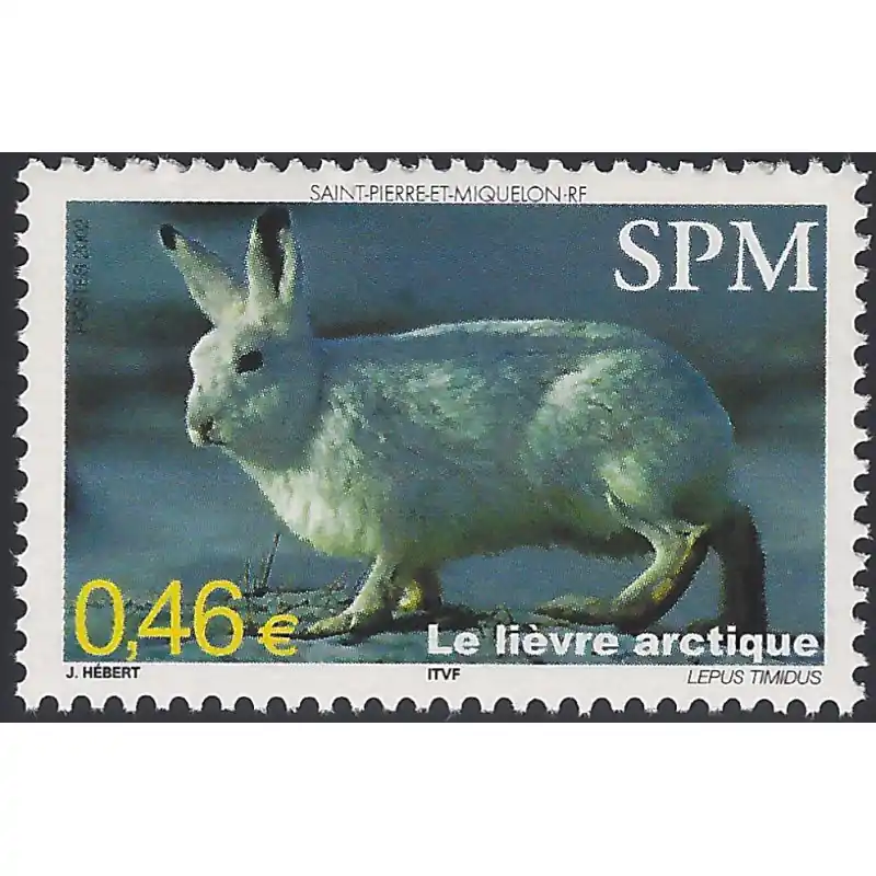 Meilleur Choix Le lièvre arctique timbre de Saint Pierre et Miquelon N°782 neuf**.