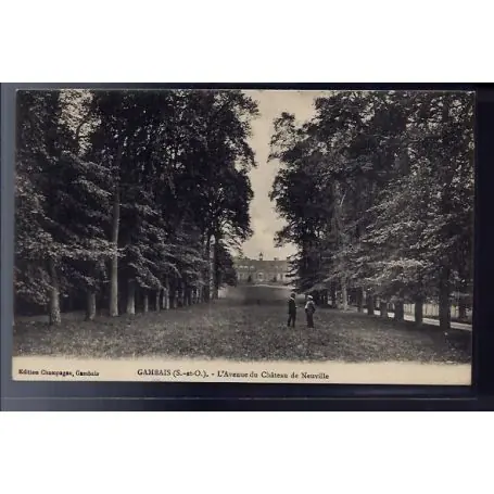 Carte postale 78 - Gambais - l' Avenue du chateau de Neuville - Non voyage - Dos divise Fait Main